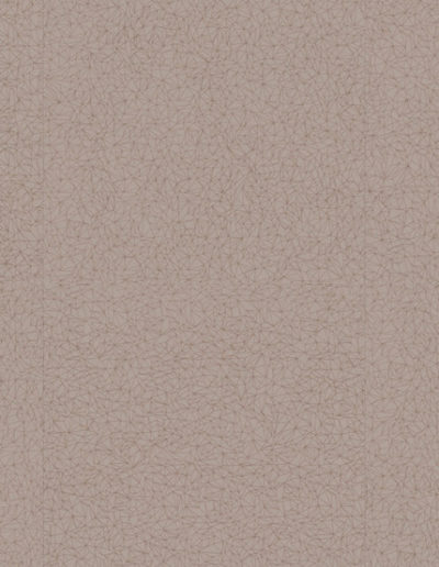 0035 Spider Taupe